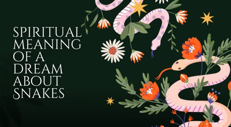 Spiritual Meaning of a Snake in a Dream