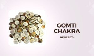 Gomti Chakra: Benefits of Gomati Chakra