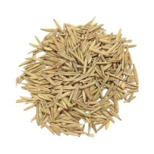 Natural Kadwa Indra Jau Seed