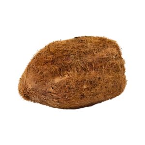 Laghu Dariyai Nariyal