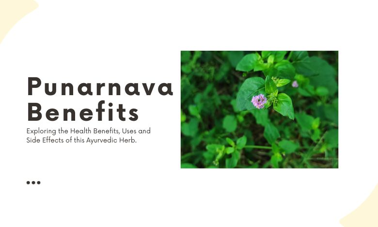 Punarnava Benefits