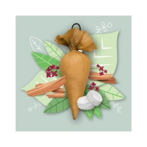 Mangalam Campure Cone - Sandalwood Air Freshener