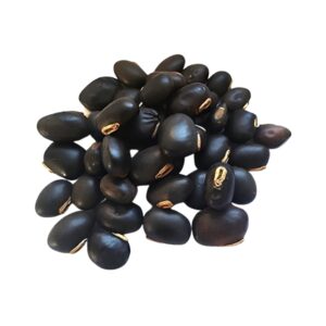 Dried Kaunch Beej for ritual preparation