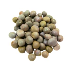 Raw Sagar Gota – Kat Karanja Seeds